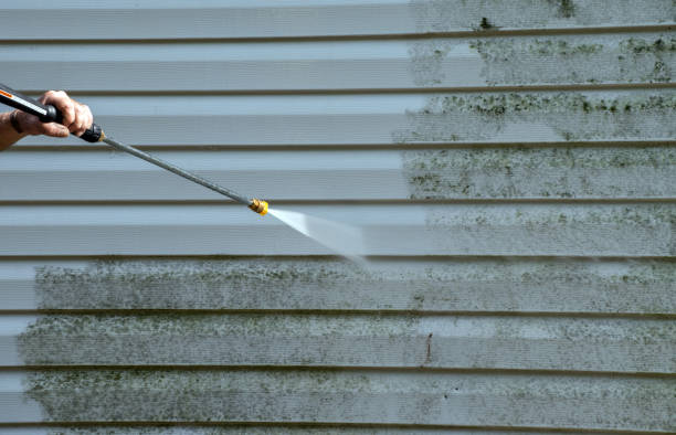 Best House Exterior Washing  in Rossville, MD
